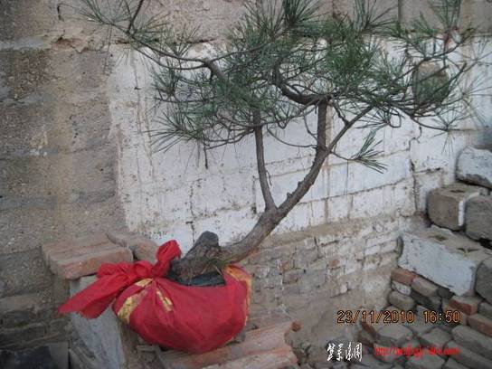 2010.11.23�⼸����ɽ�� 007.jpg