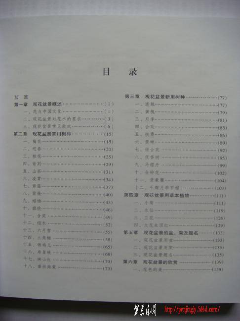 DSC07622.JPG