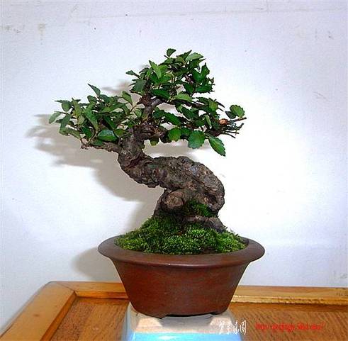 RIMG0645_.jpg