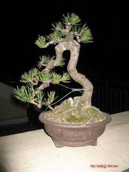 Ƭ 048.jpg
