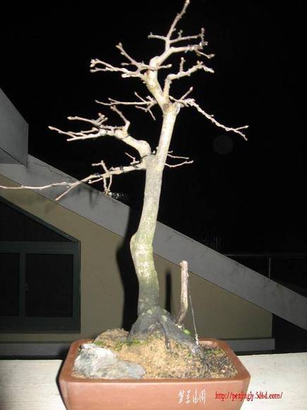 Ƭ 045.jpg