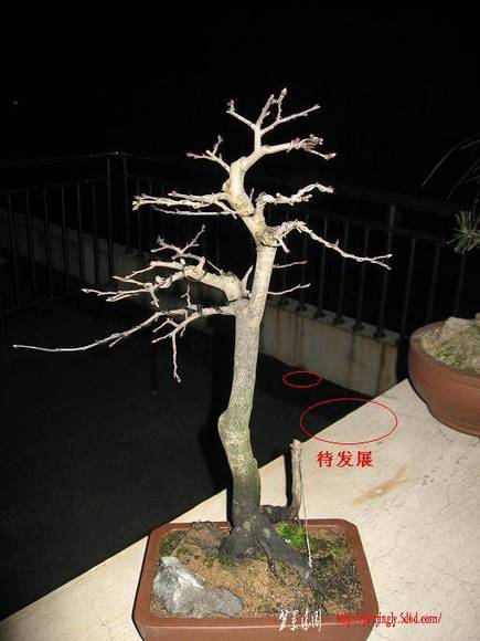 Ƭ 047.jpg