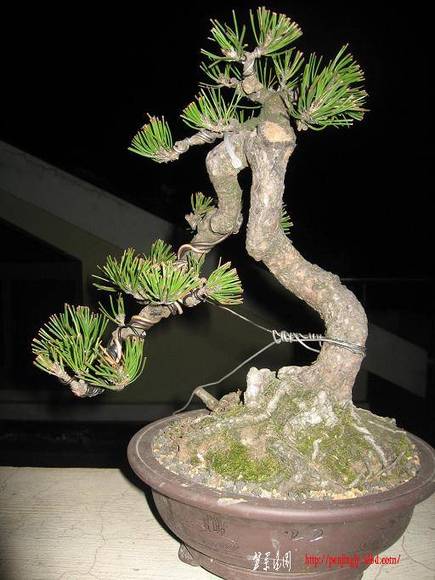 Ƭ 049.jpg