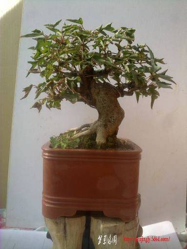 20101128029.JPG