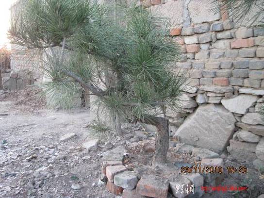 2010.11.29��ɽ�� 015.jpg