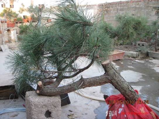 2010.11.29��ɽ�� 007.jpg