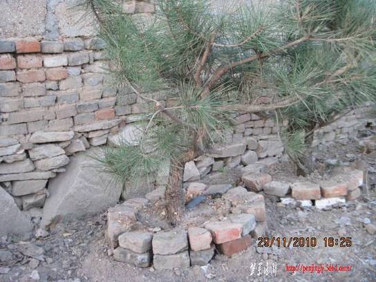 2010.11.29��ɽ�� 009.jpg