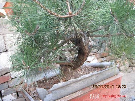 2010.11.29��ɽ�� 004.jpg