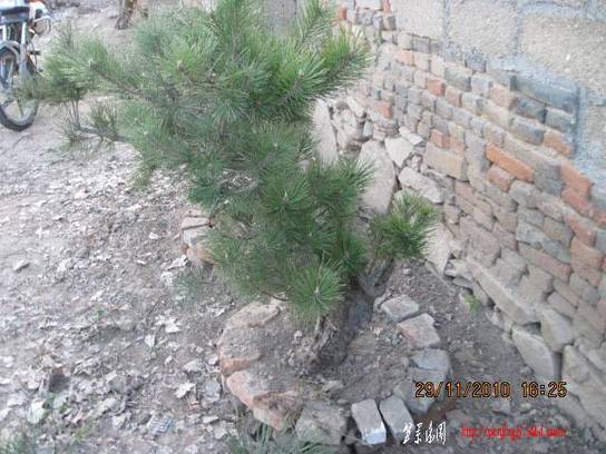 2010.11.29��ɽ�� 014.jpg