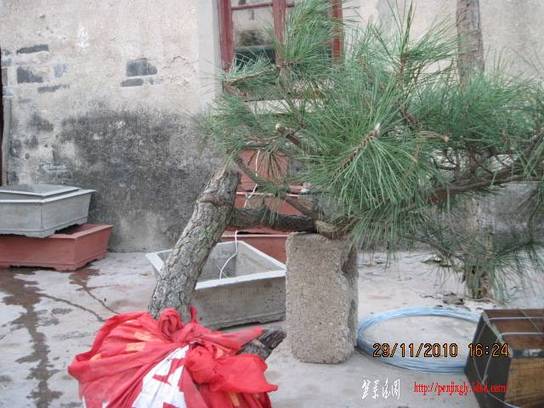 2010.11.29��ɽ�� 006.jpg