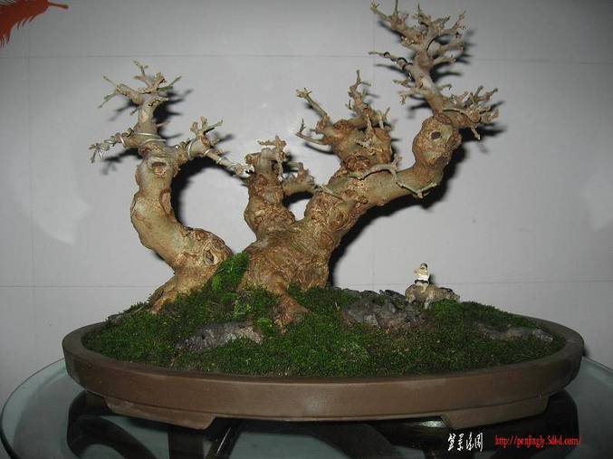 Ƭ 053.jpg