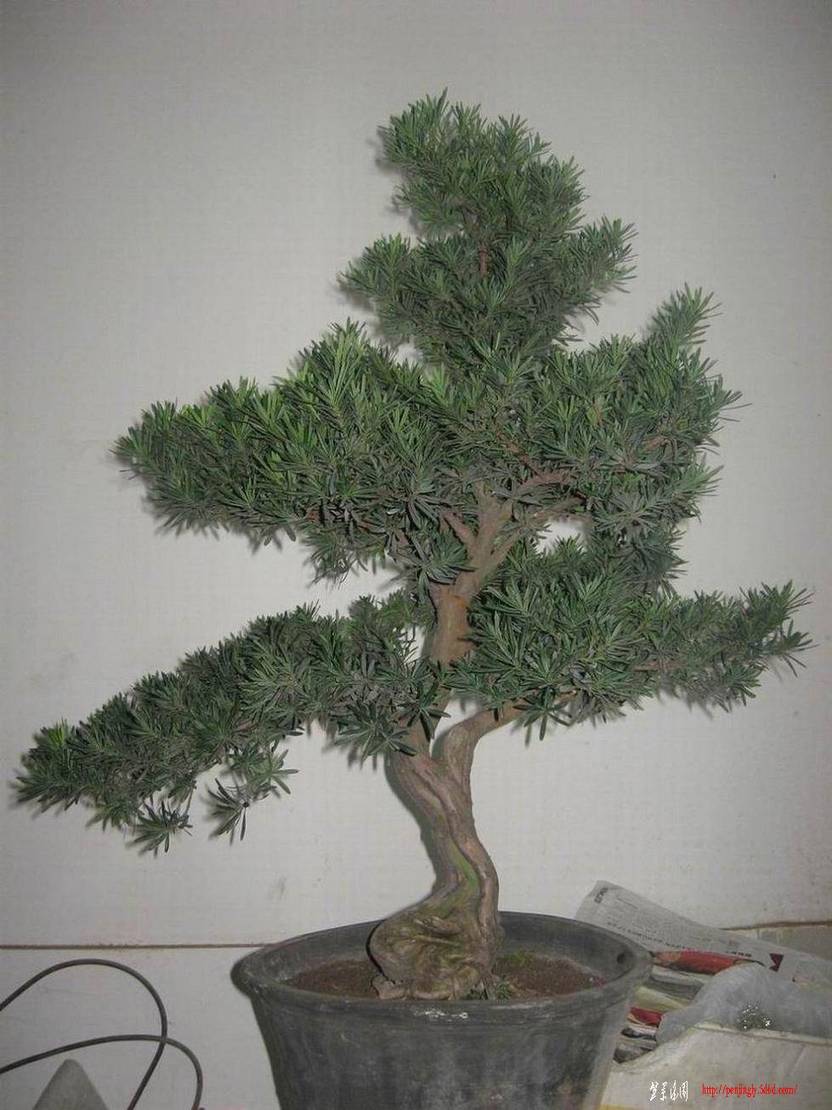 �����͵Ȼ� 068.jpg