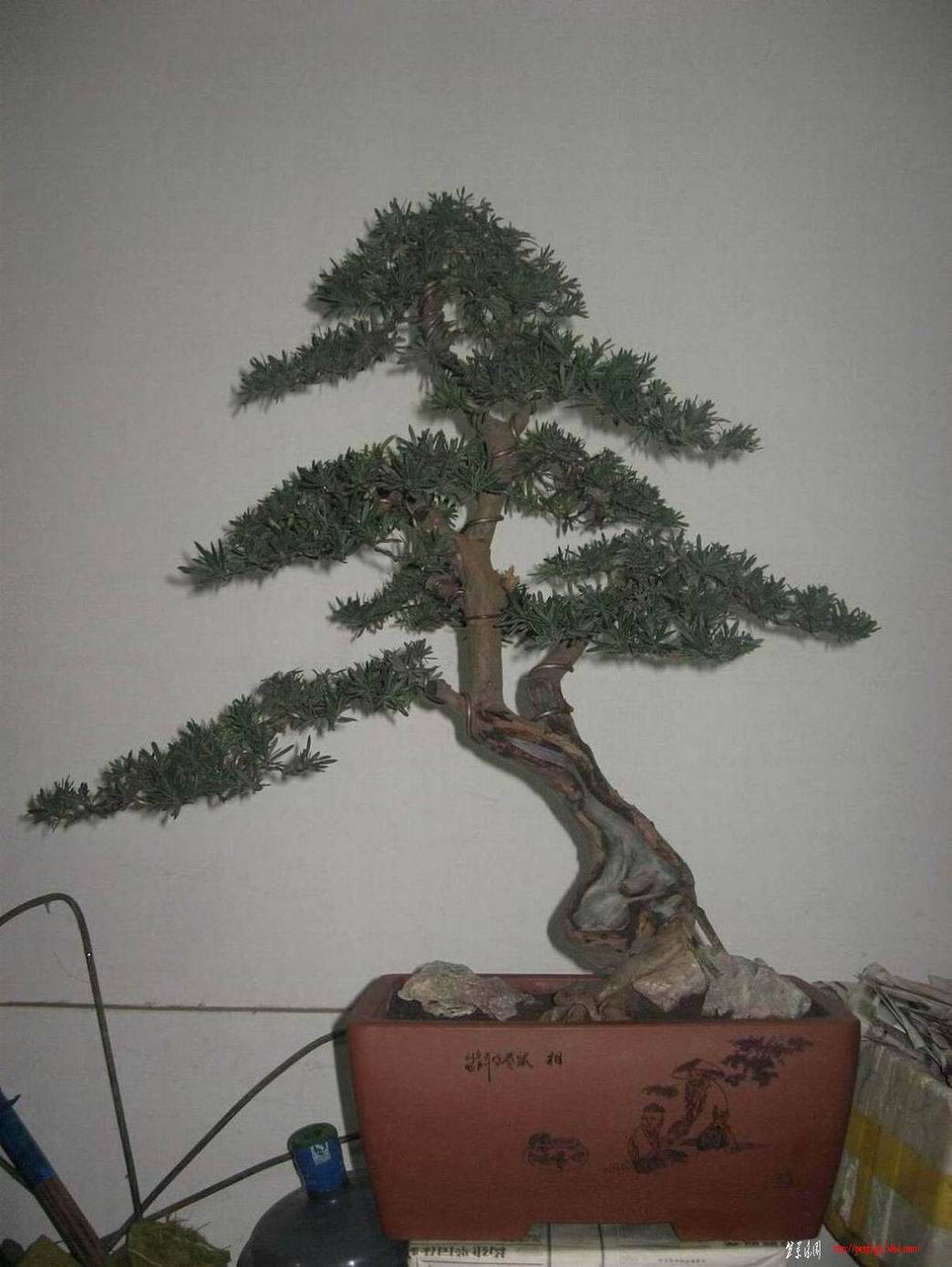 �����͵Ȼ� 072.jpg