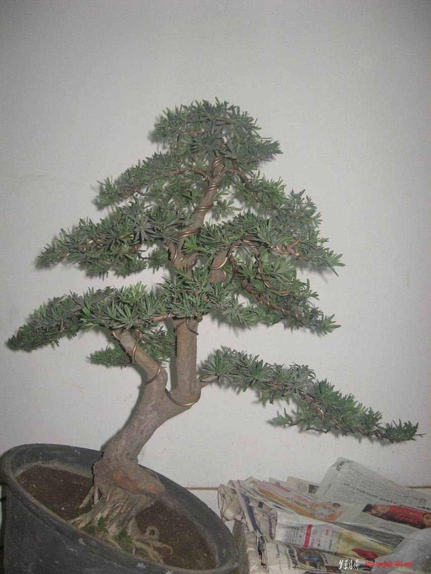 �����͵Ȼ� 071.jpg