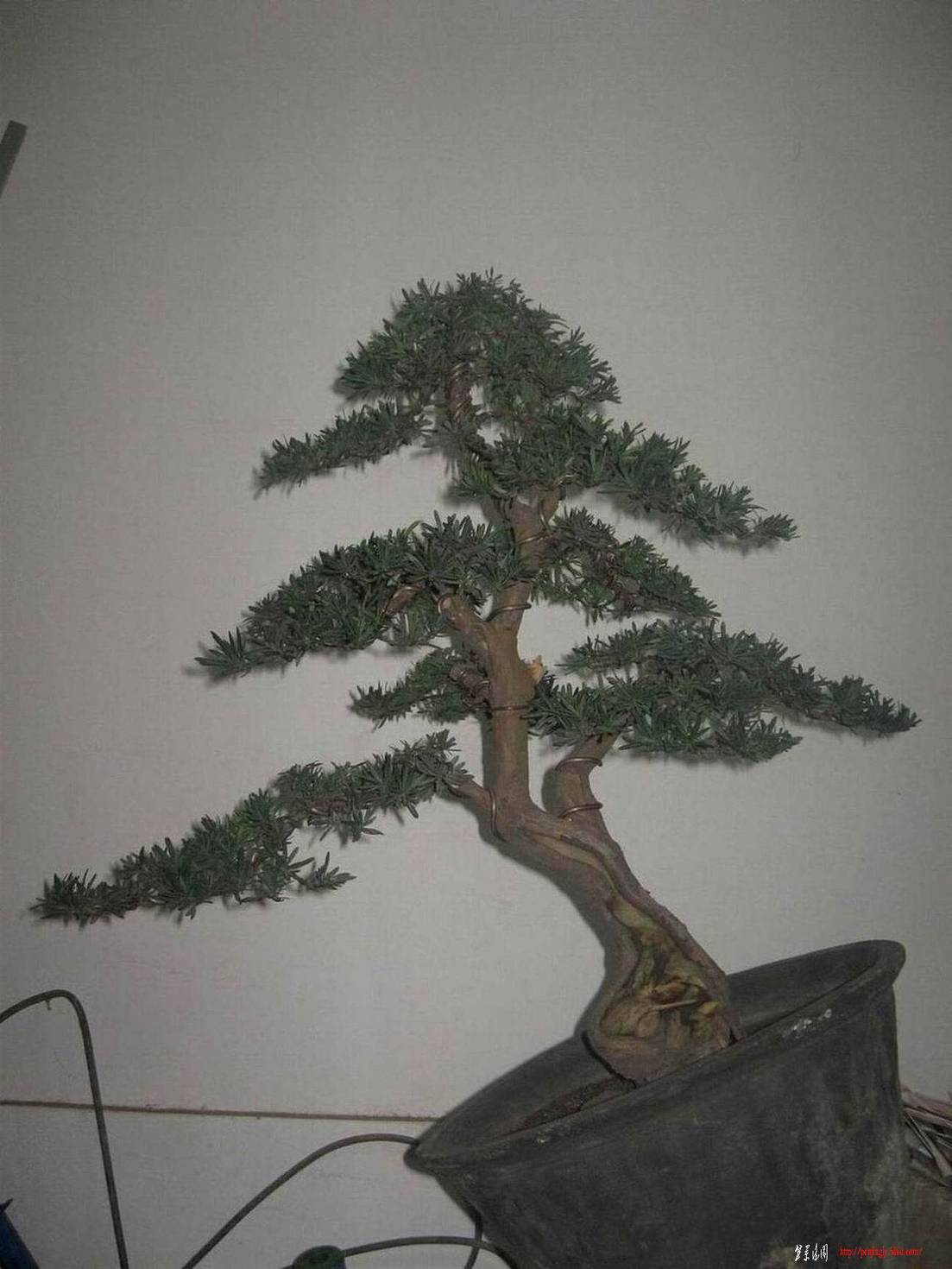 �����͵Ȼ� 070.jpg