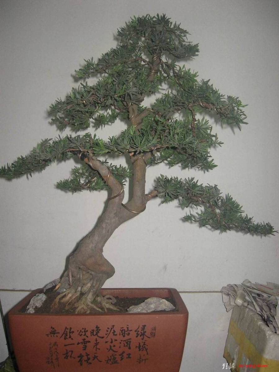 �����͵Ȼ� 073.jpg