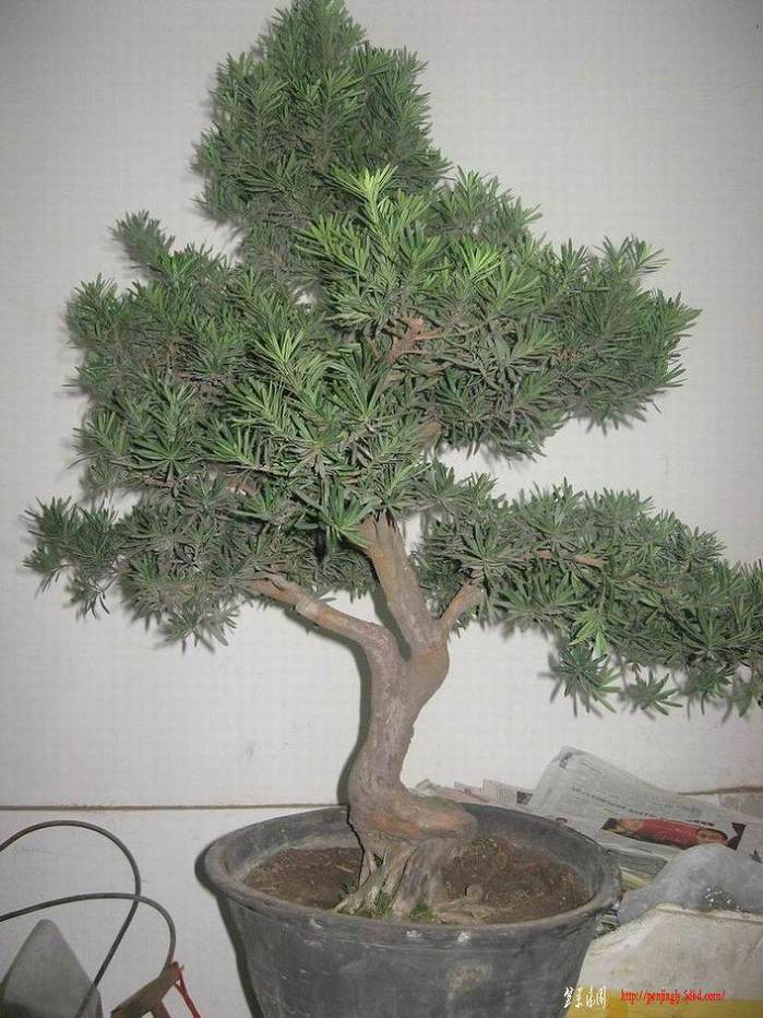 �����͵Ȼ� 069.jpg