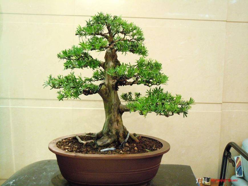 DSCN1580.JPG