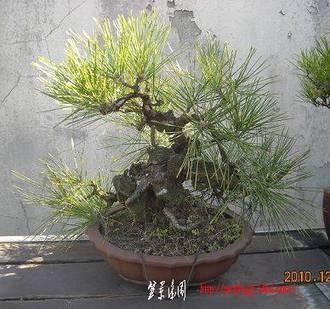 Ƭ 014.jpg