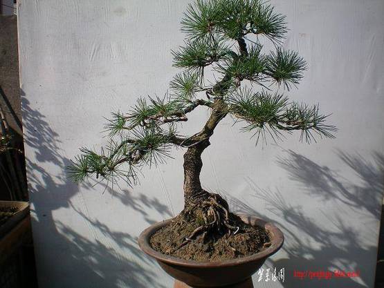 100_0369.JPG