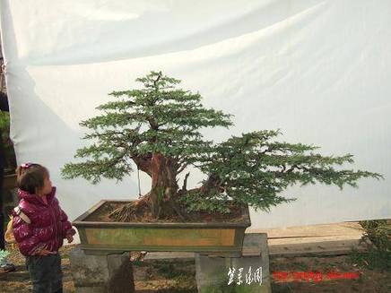 DSCF5396.JPG