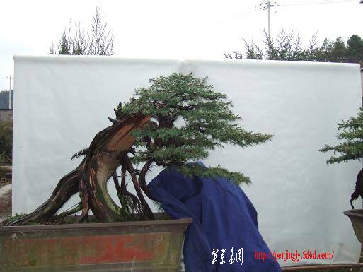 DSCF5407.JPG