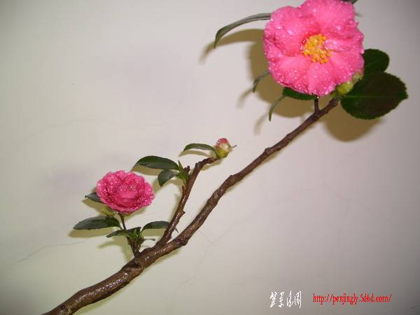 chm101217.JPG