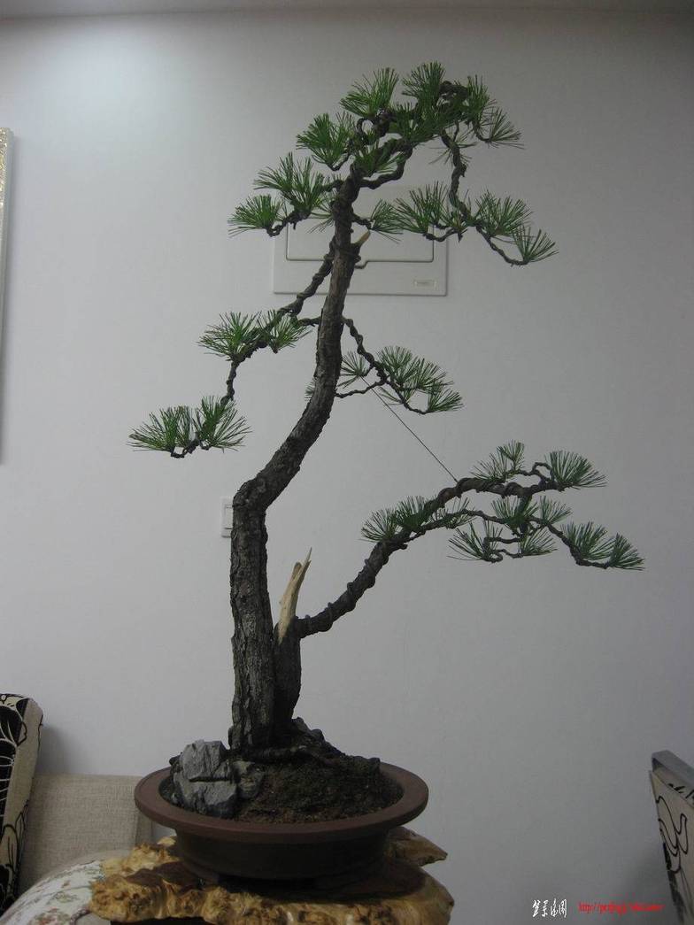 �����͵Ȼ� 119.jpg