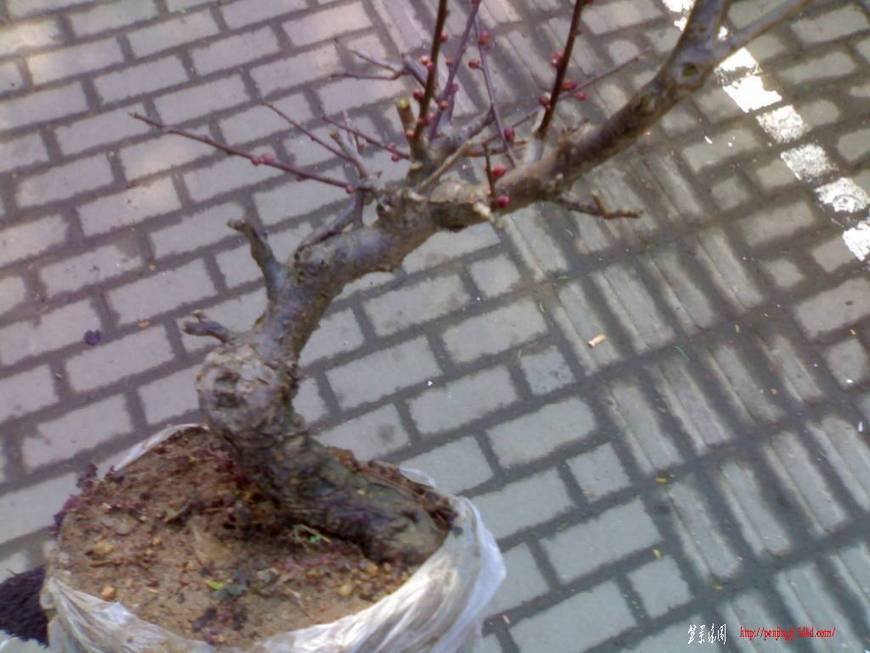 20101218154.jpg