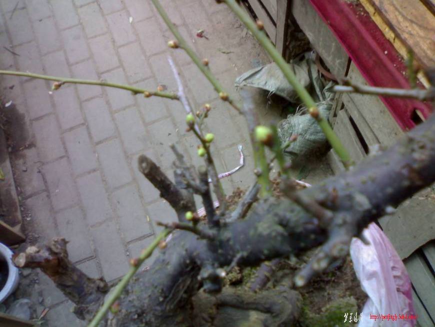 20101218150.jpg