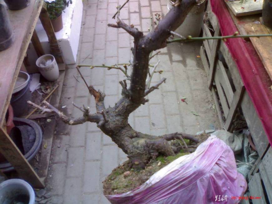 20101218149.jpg