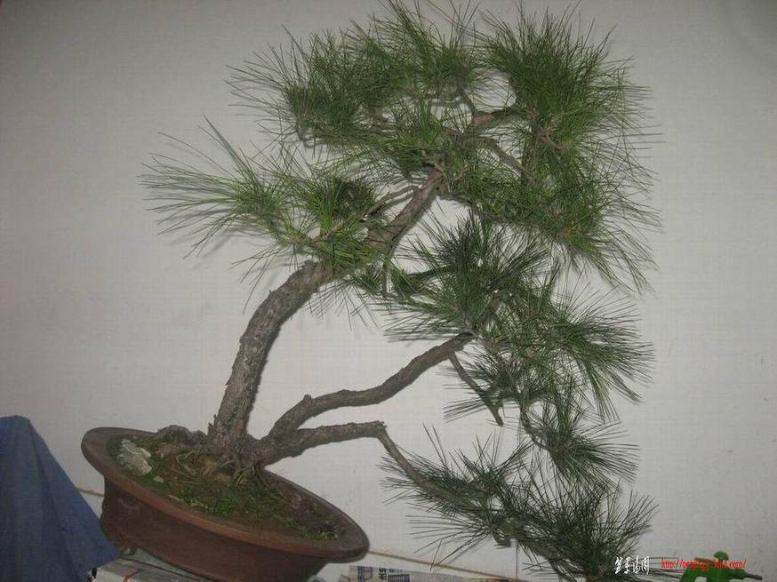 �����͵Ȼ� 126.jpg