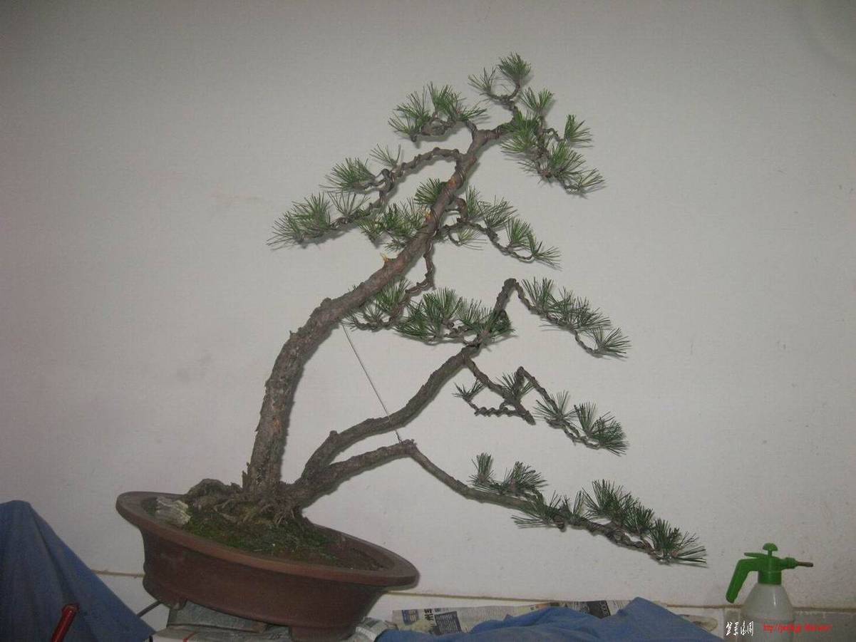 �����͵Ȼ� 127.jpg