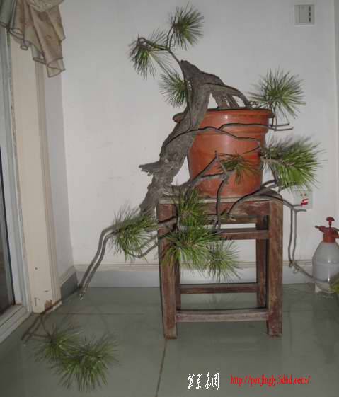 DSC03604.JPG