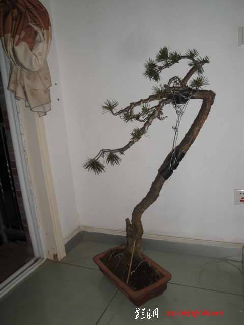 DSC03645.JPG