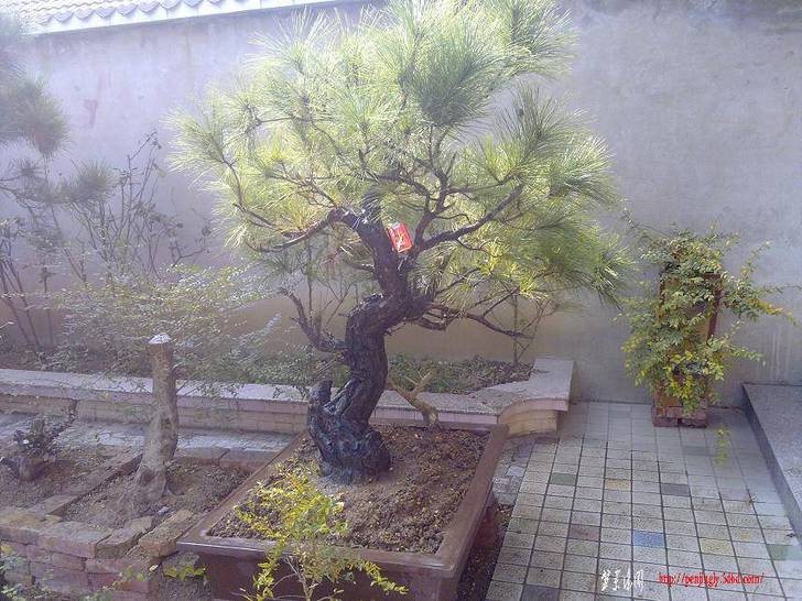 20101206179.jpg