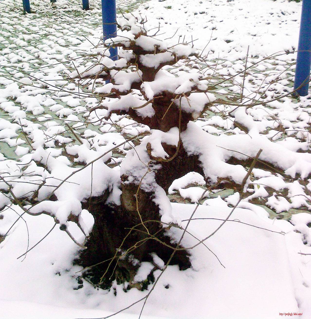 Ƭ-0005.jpg