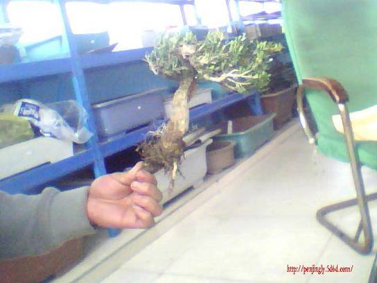 ͼƬ 008.jpg