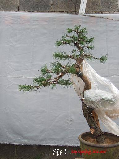 DSCF5472.JPG