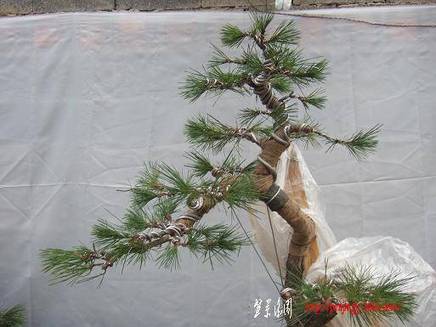 DSCF5474.JPG
