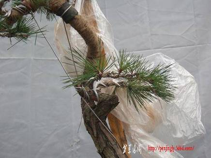 DSCF5473.JPG