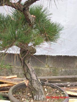 DSCF5466.JPG