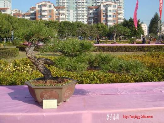 DSC06195_С.JPG