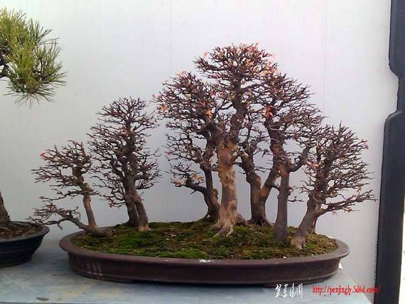 IMAG0038 .jpg