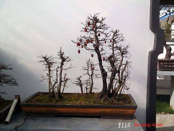IMAG0037 .jpg