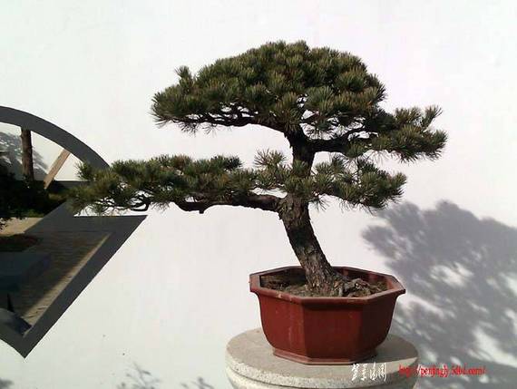 IMAG0035 .jpg