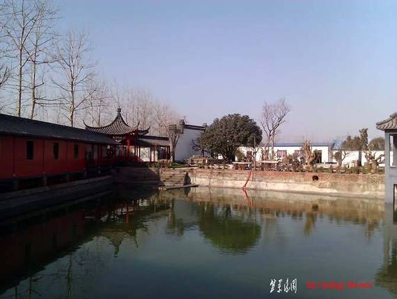 IMAG0055.jpg