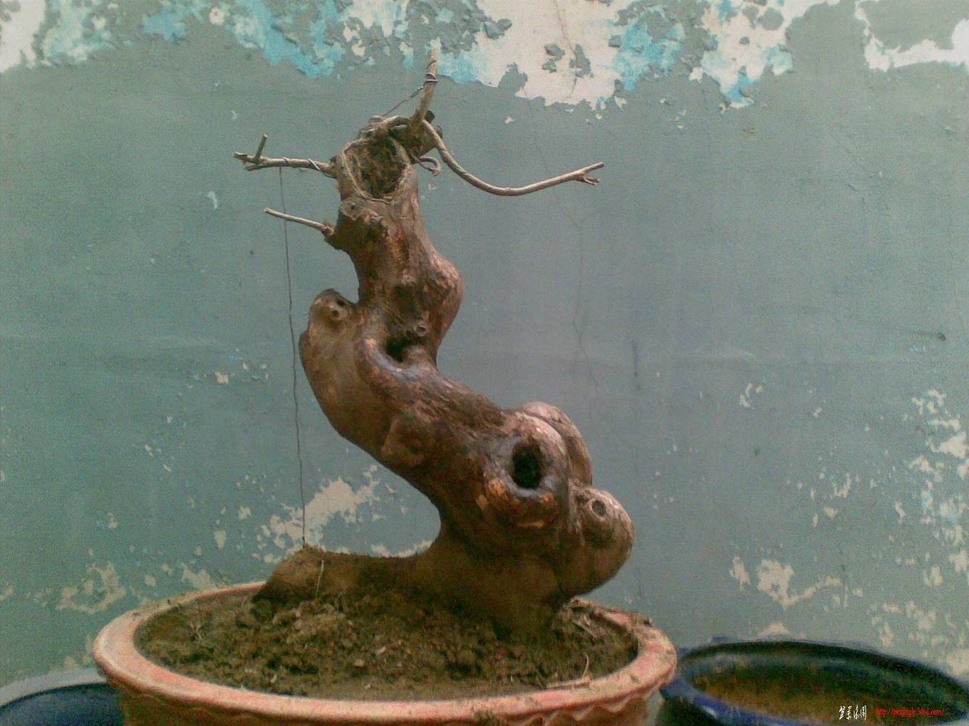 20101213.jpg