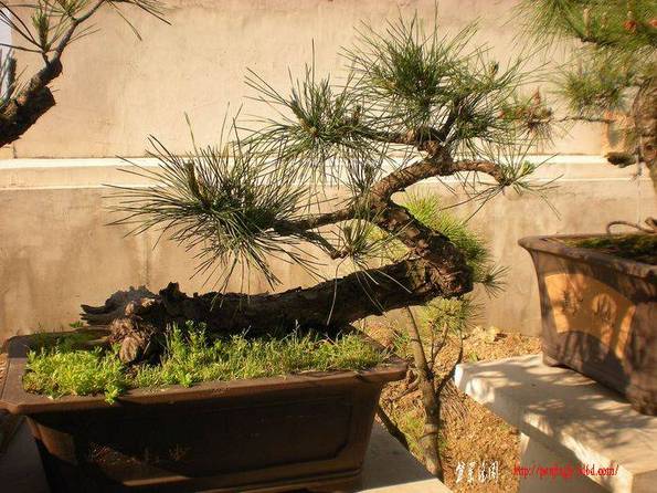ɾӡز0541.jpg