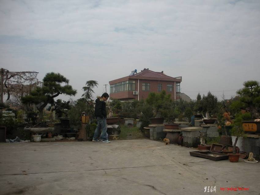 1 030.jpg